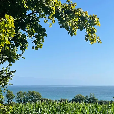 Le Pre De La Le Tatil Evi *