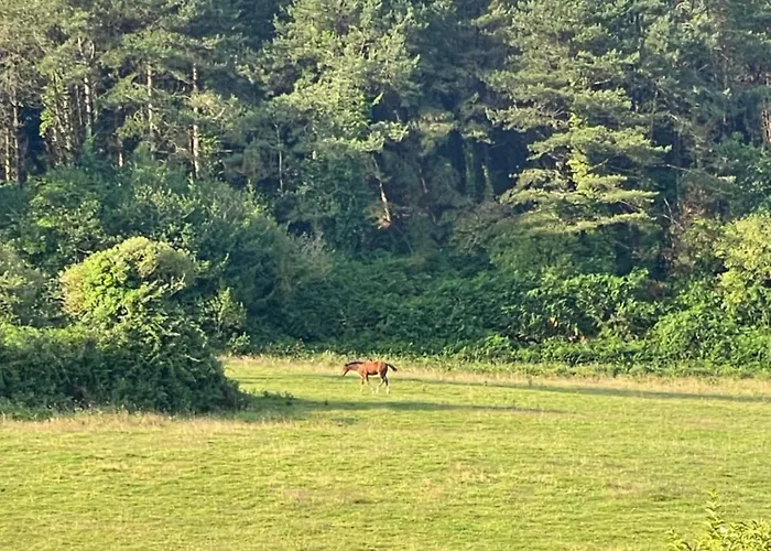 Le Pre De La Le Σπίτι διακοπών Urville-Nacqueville