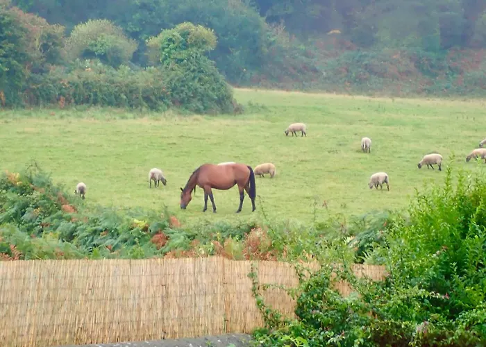 Le Pre De La Le بيت للعطل Urville-Nacqueville